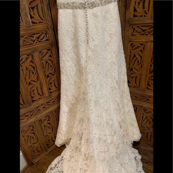 Venus bridals 🦋🦋🦋🦋🦋 - Picture 6 of 7